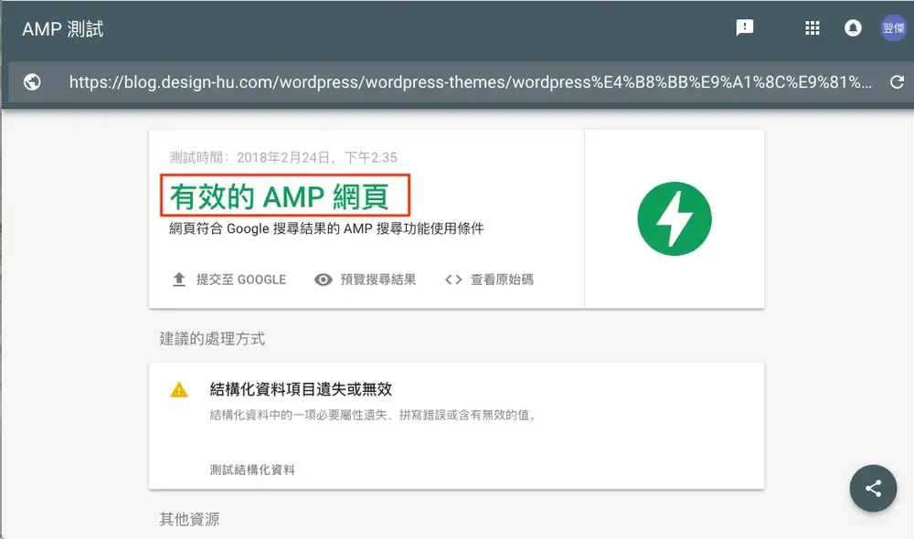 AMP 測試結果的詳細資訊