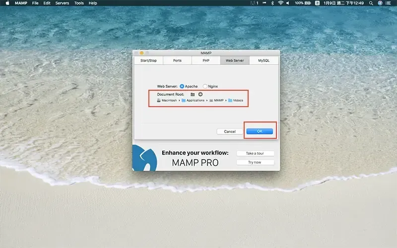 MAMP 設定的 Web Server 分頁，Document Root 路徑為 Applications／MAMP／htdocs，紅框標示 OK 按鈕