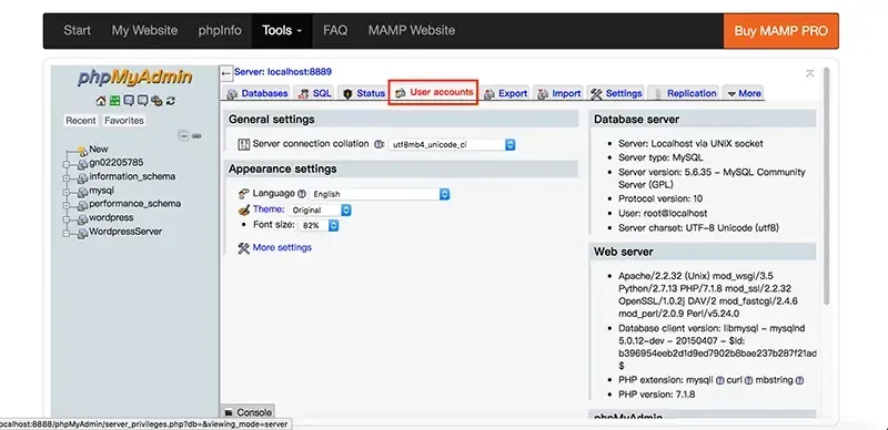 phpMyAdmin 的 Settings 分頁畫面，紅框標示上方 User accounts 分頁位置