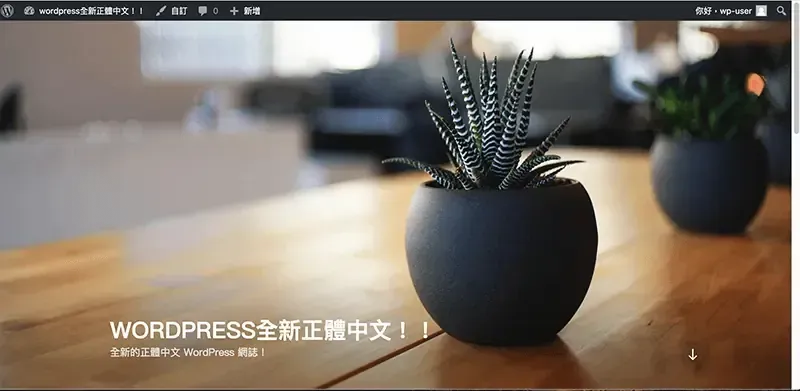 安裝完成後的 WordPress 網站前台，套用預設佈景主題，標題為 WordPress 全新正體中文